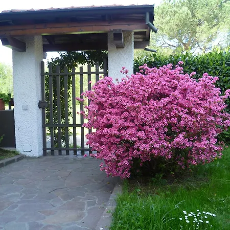 Airone Maggiore Апартаменты *